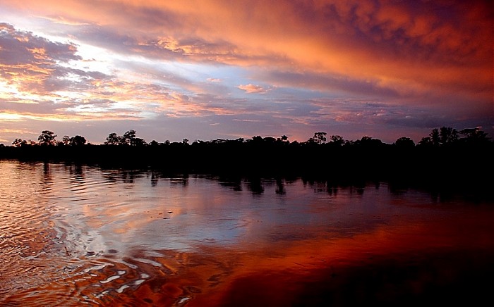 w drodze do Iquitos