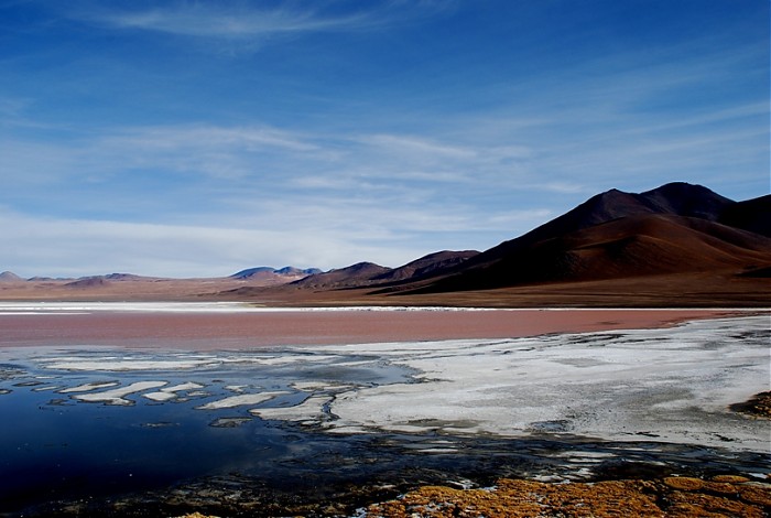 Laguna Colorada